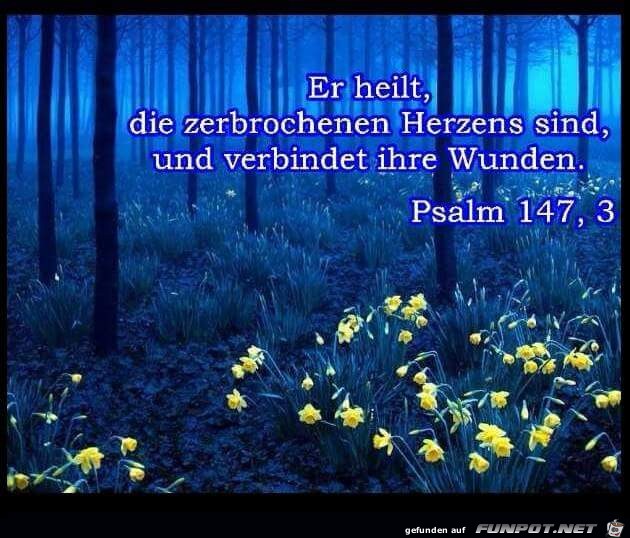 Psalm 147 3