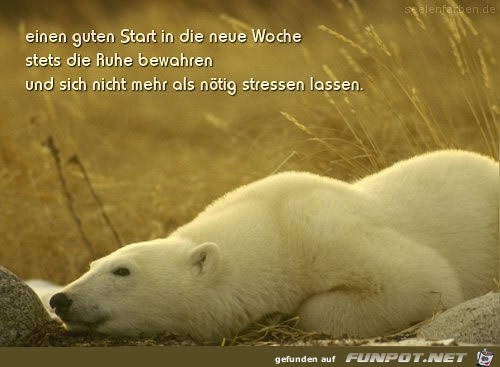 guten-wochenstart45