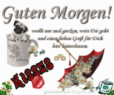 guten Morgen guten Morgen