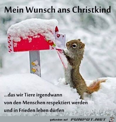 Mein Wunsch ans Christkind