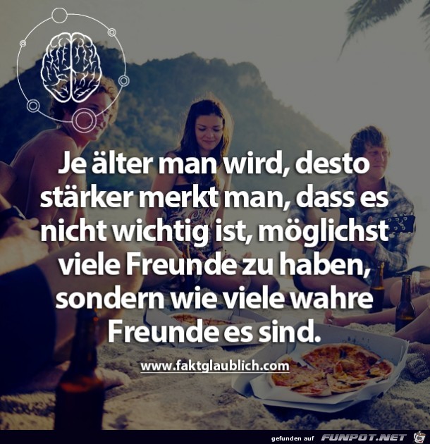 wahre freunde