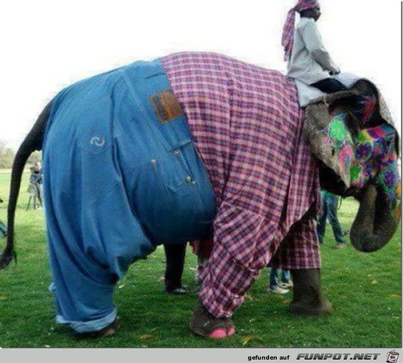 verkleideter Elefant