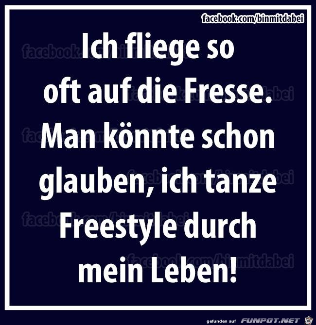 Fliegen Fliegen