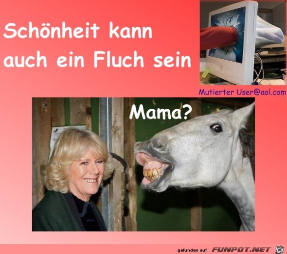 Schoenheit Schoenheit