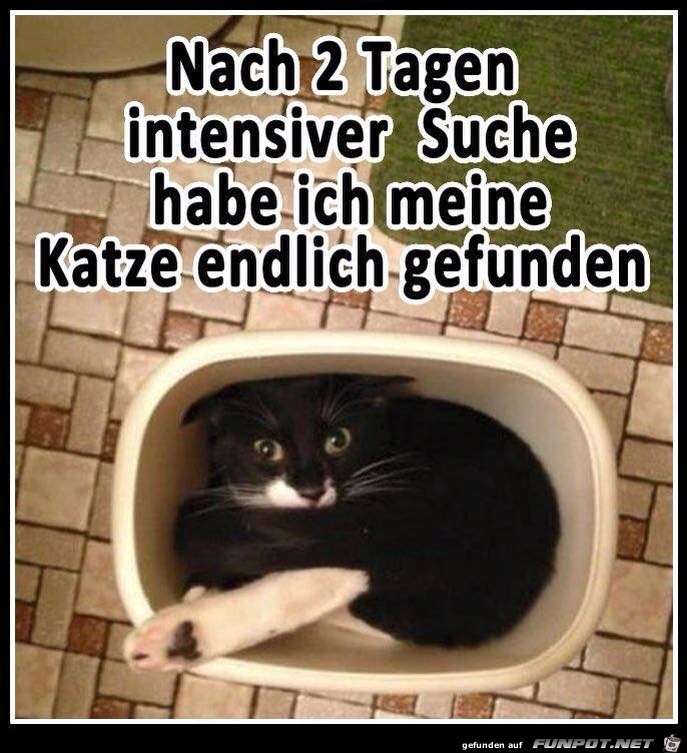 witzige Bilder aus verschiedenen Blogs