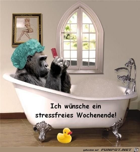 stressfreies Wochenende