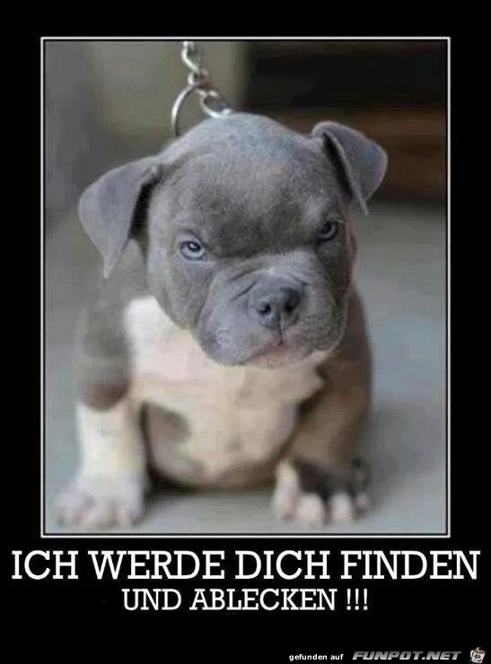 ablecken ablecken