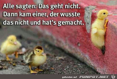 alle sagten, das geht nicht alle sagten, das geht nicht