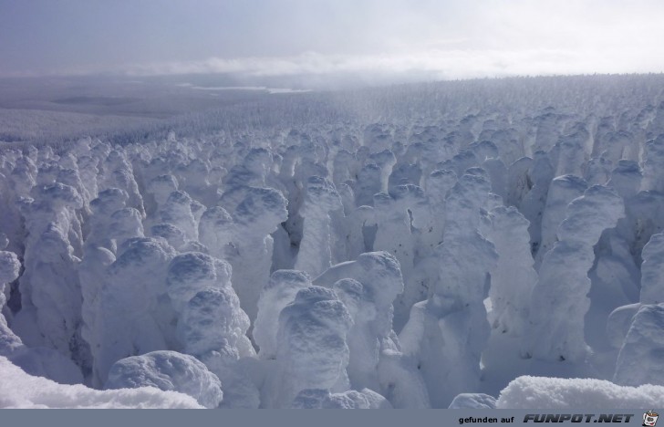 Frost Sturm - WOW!