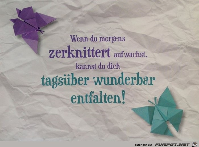 zerknittert zerknittert
