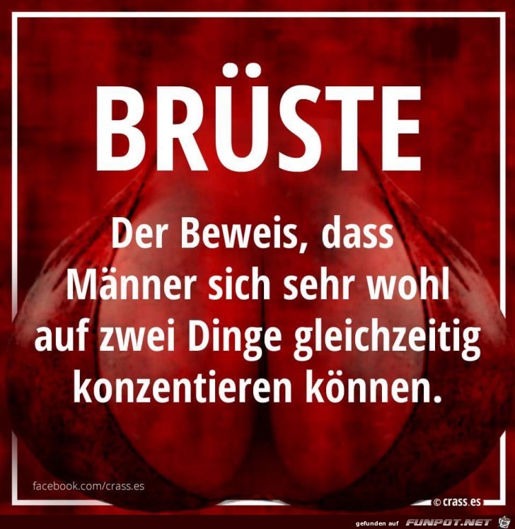 brüste brüste