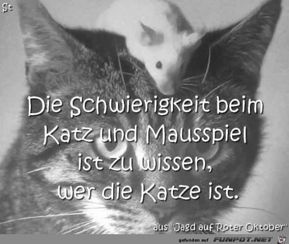 Katze Katze