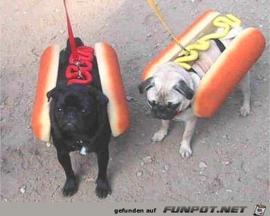 Hotdogs