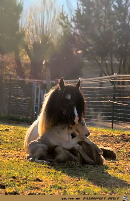 There is nothing like Mom's lap no