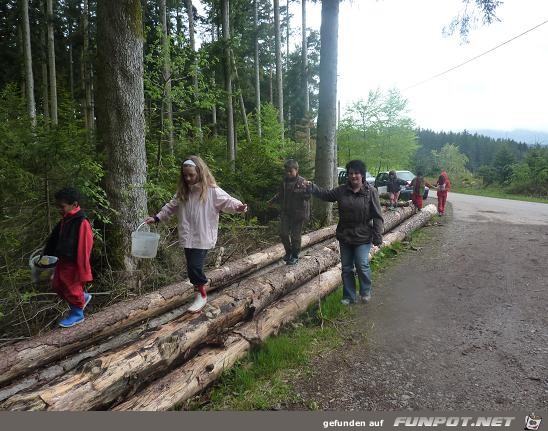 Waldspaziergang34 Waldspaziergang34