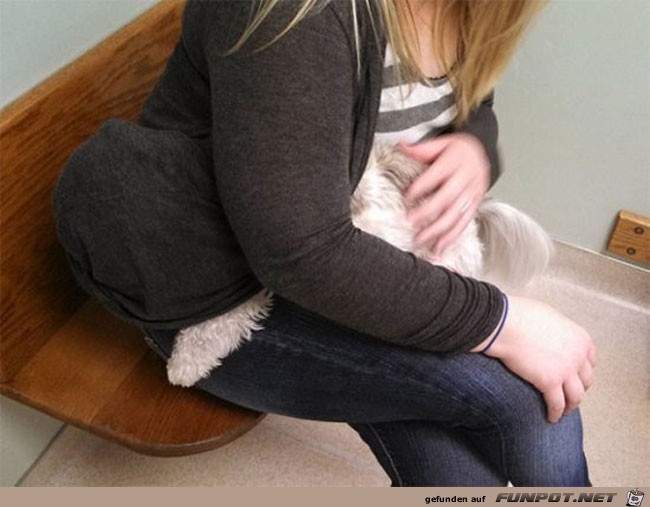 13 funny-dog-hiding-owner-clothes-vet 13 funny-dog-hiding-owner-clothes-vet