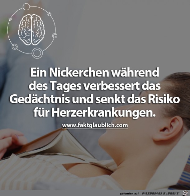 Ein Nickerchen während des Tages Ein Nickerchen während des Tages