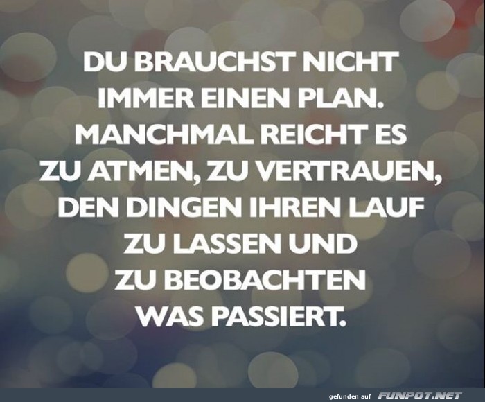 10 sch�ne Spr�che und Lebensweisheiten aus...