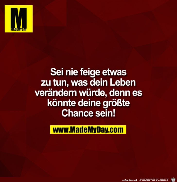 Sei nie feige Sei nie feige