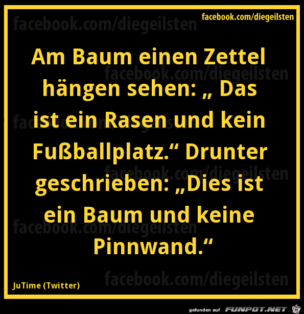 diegeilsten Zettel diegeilsten Zettel
