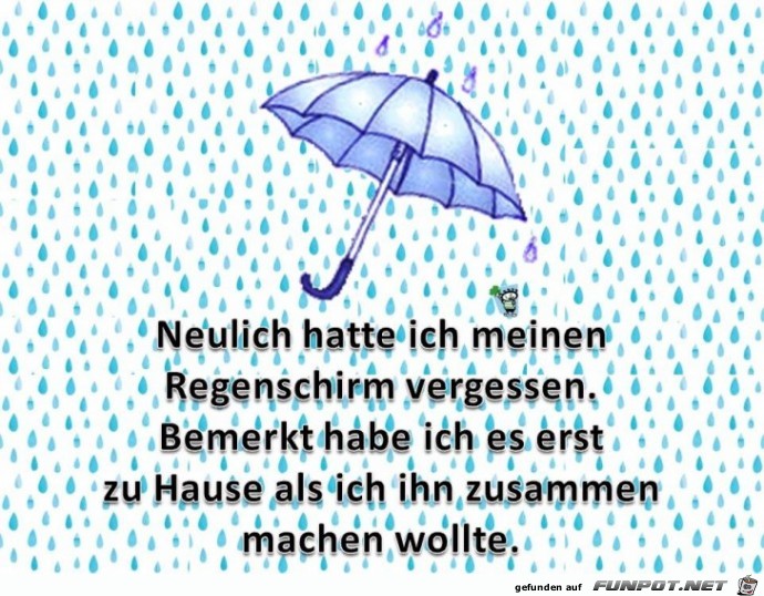 Regenschirm