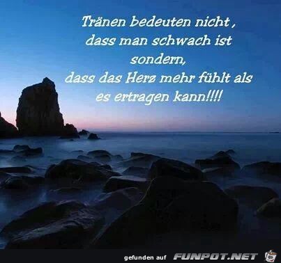 Tränen bedeuten nicht... Tränen bedeuten nicht...