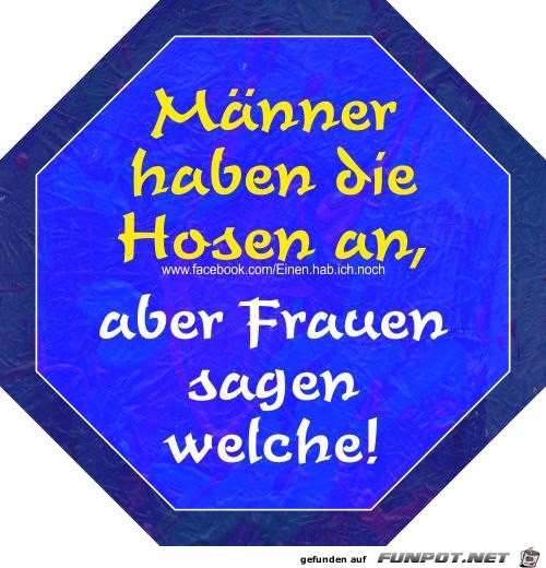 Vorschau Document55 Vorschau Document55