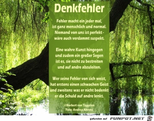 denkfehler