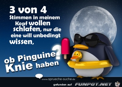 sprueche-3-von-4-stimmen-in-meinem-kopf-wollen-schlafen-nur- sprueche-3-von-4-stimmen-in-meinem-kopf-wollen-schlafen-nur-
