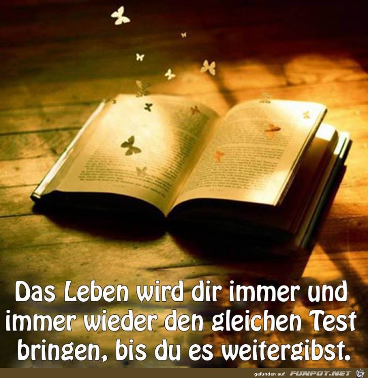 Das Leben