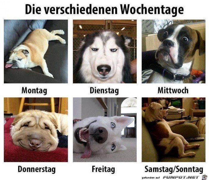woche woche