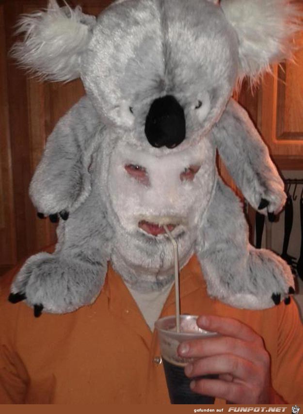 This-man-in-this-koala-mask This-man-in-this-koala-mask