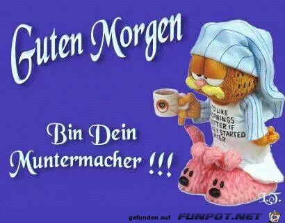 guten morge 