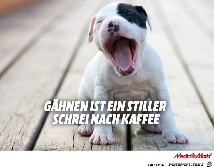 gähnen gähnen