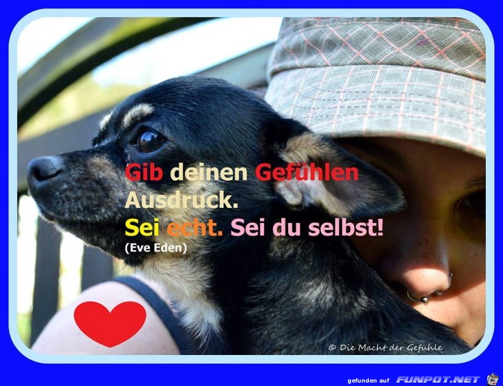 Gib Deinen Gefühlen Ausdruck... Gib Deinen Gefühlen Ausdruck...