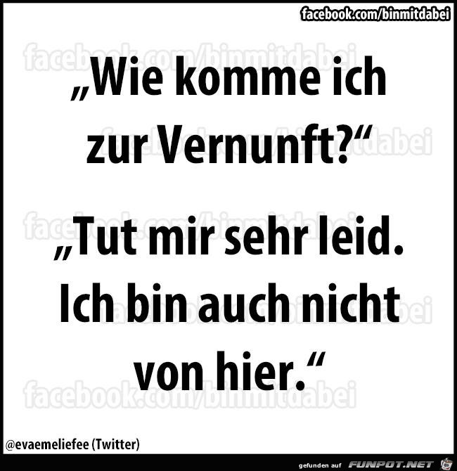 Vernunft