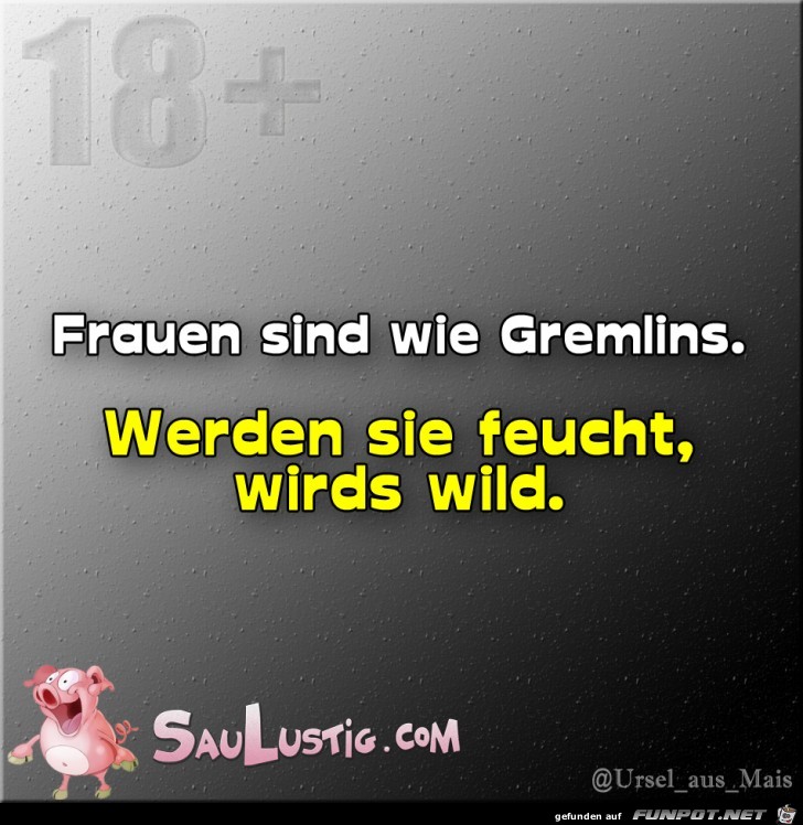 Frauen sind wie Germlins