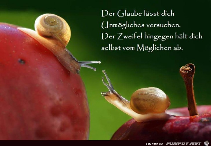 der glaube der glaube