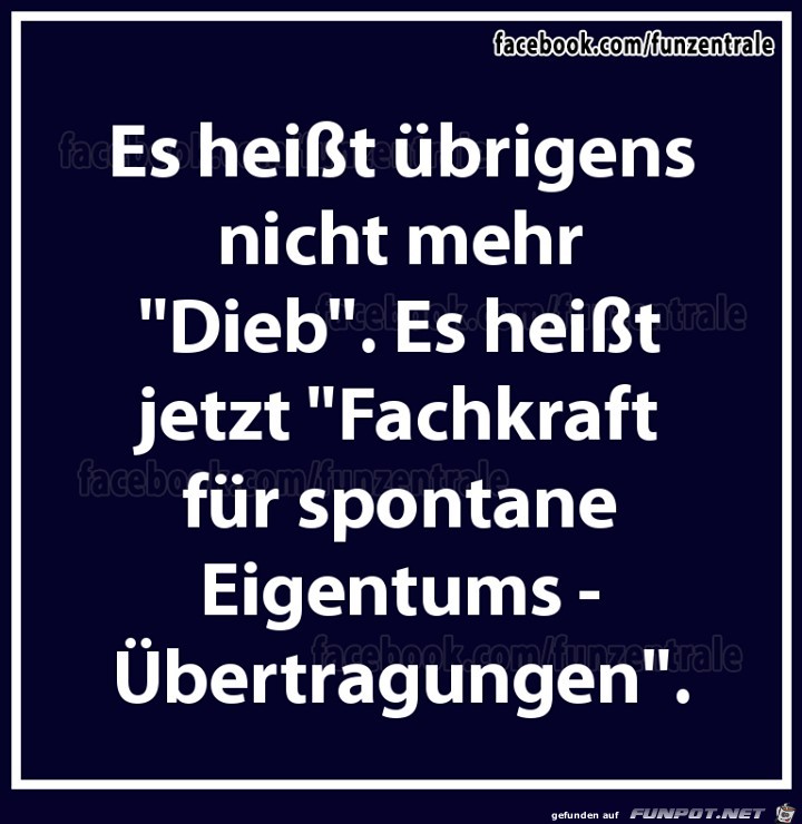 Neudeutsch fuer Dieb Neudeutsch fuer Dieb