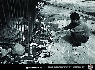 Kaefig vor Freiheit Kaefig vor Freiheit