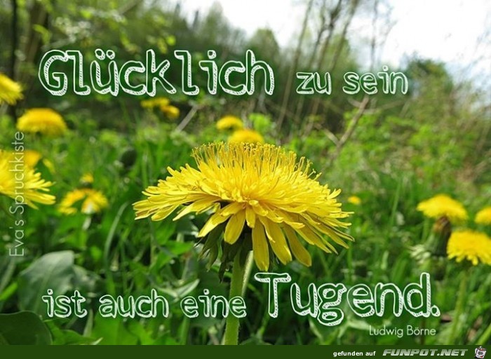 gluecklich