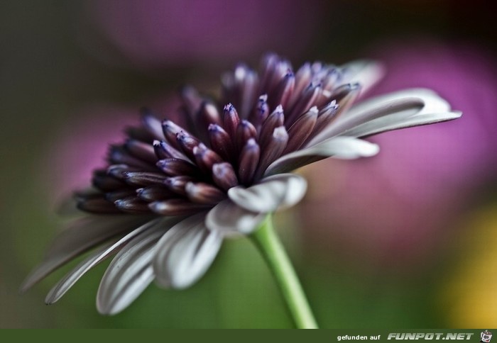 Wow-Bilder Anschauen und geniessen 6 Wow-Bilder Anschauen und geniessen 6