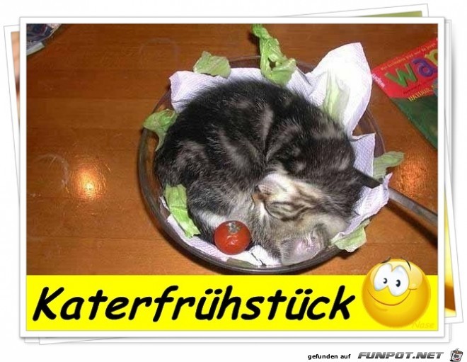 katerfruehstueck katerfruehstueck