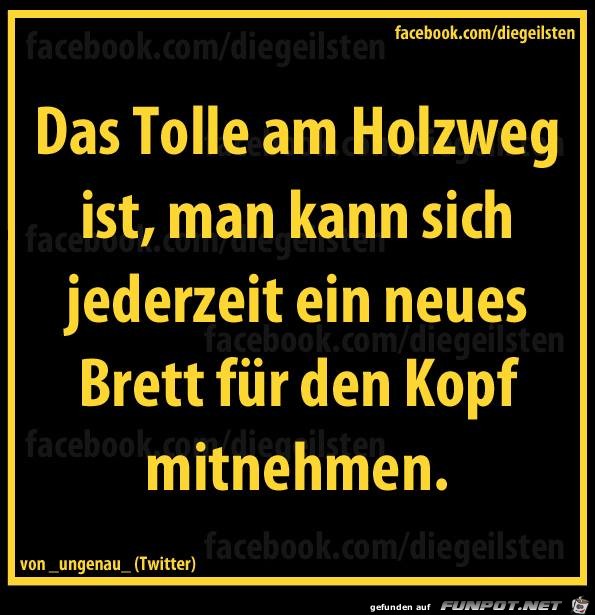 diegeilsten Holzweg diegeilsten Holzweg
