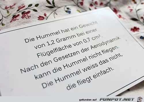hummel1 hummel1