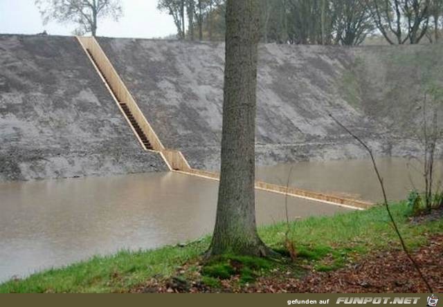 A bridge like you've never seen