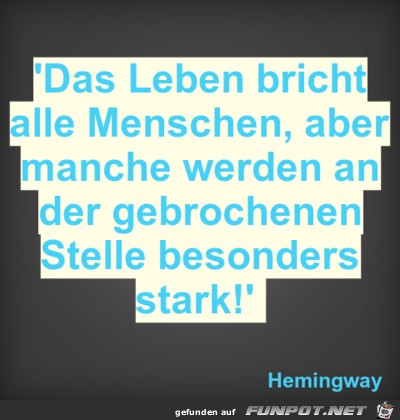 das leben bricht das leben bricht