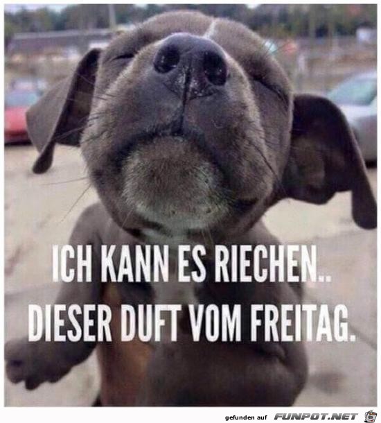 Freitag Freitag