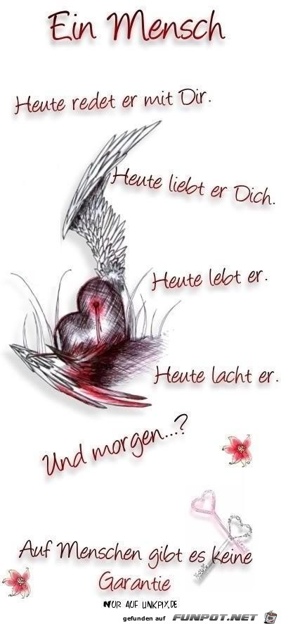 ein mensch ein mensch