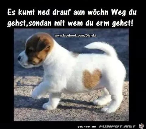 Es kommt nicht drauf an welchen Weg du gehst sondern mit w Es kommt nicht drauf an welchen Weg du gehst sondern mit w